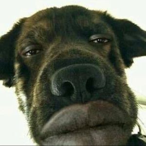 Meet your Posher, Johnny